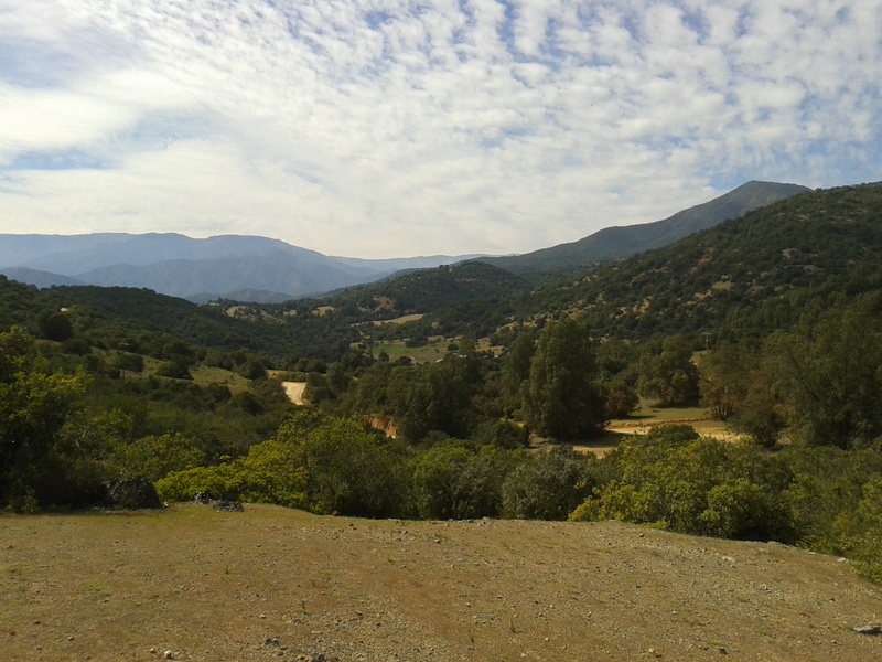Foto: Quilpue - Quilpue (Valparaíso), Chile