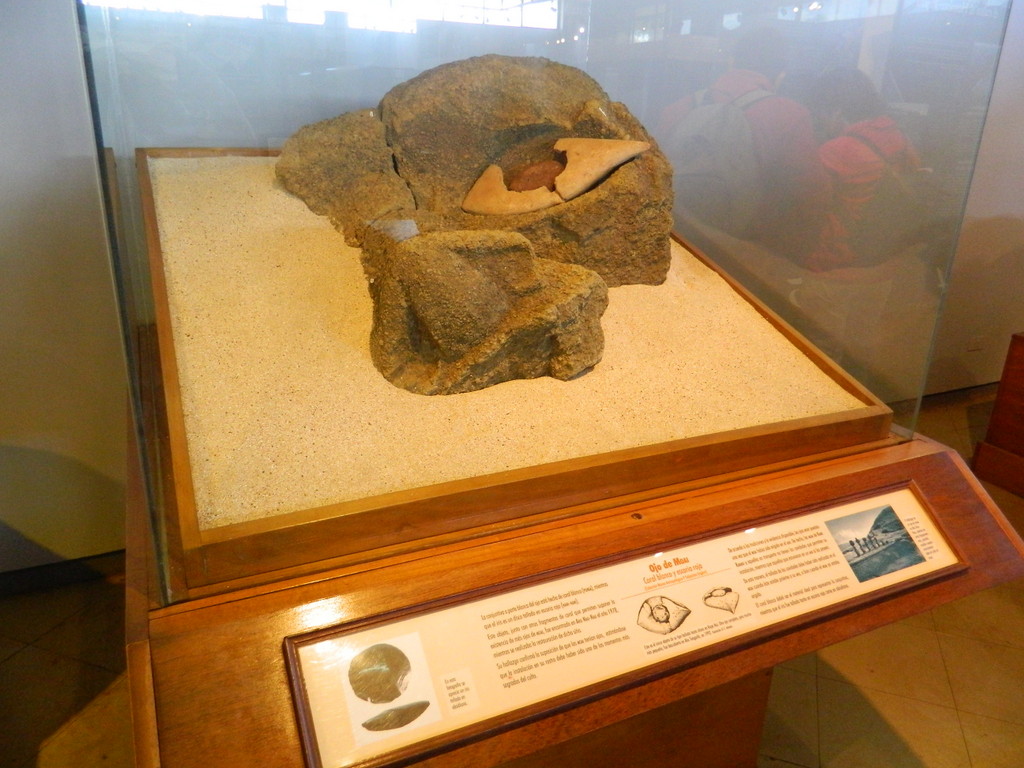 Foto: Museo Antropologico - Hanga Roa (Valparaíso), Chile