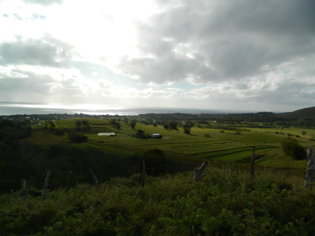 Foto: Isla De Pascua - Hanga Roa (Valparaíso), Chile