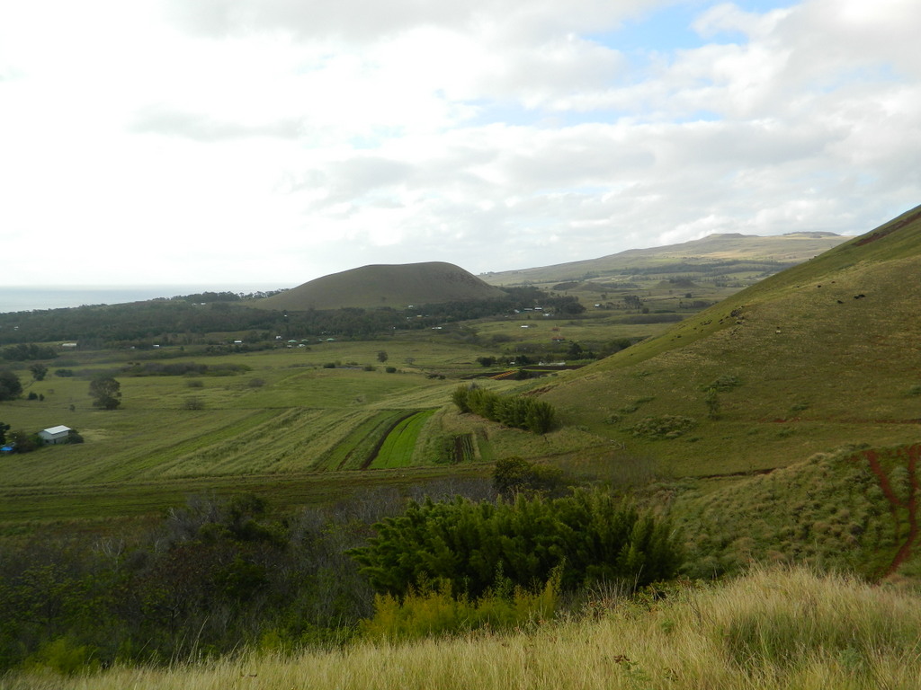 Foto: Isla De Pascua - Hanga Roa (Valparaíso), Chile