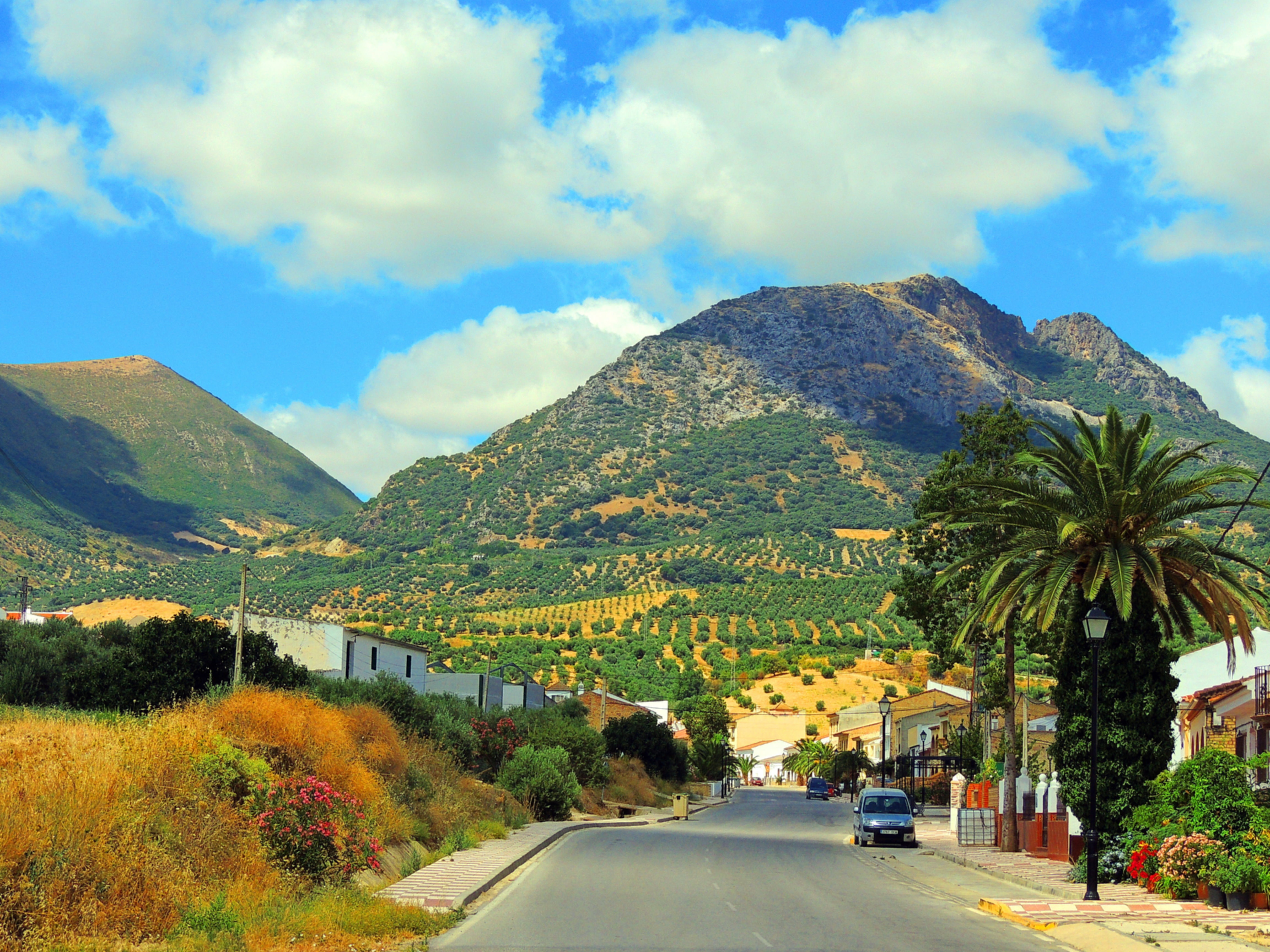 Foto de Algámitas (Sevilla), España