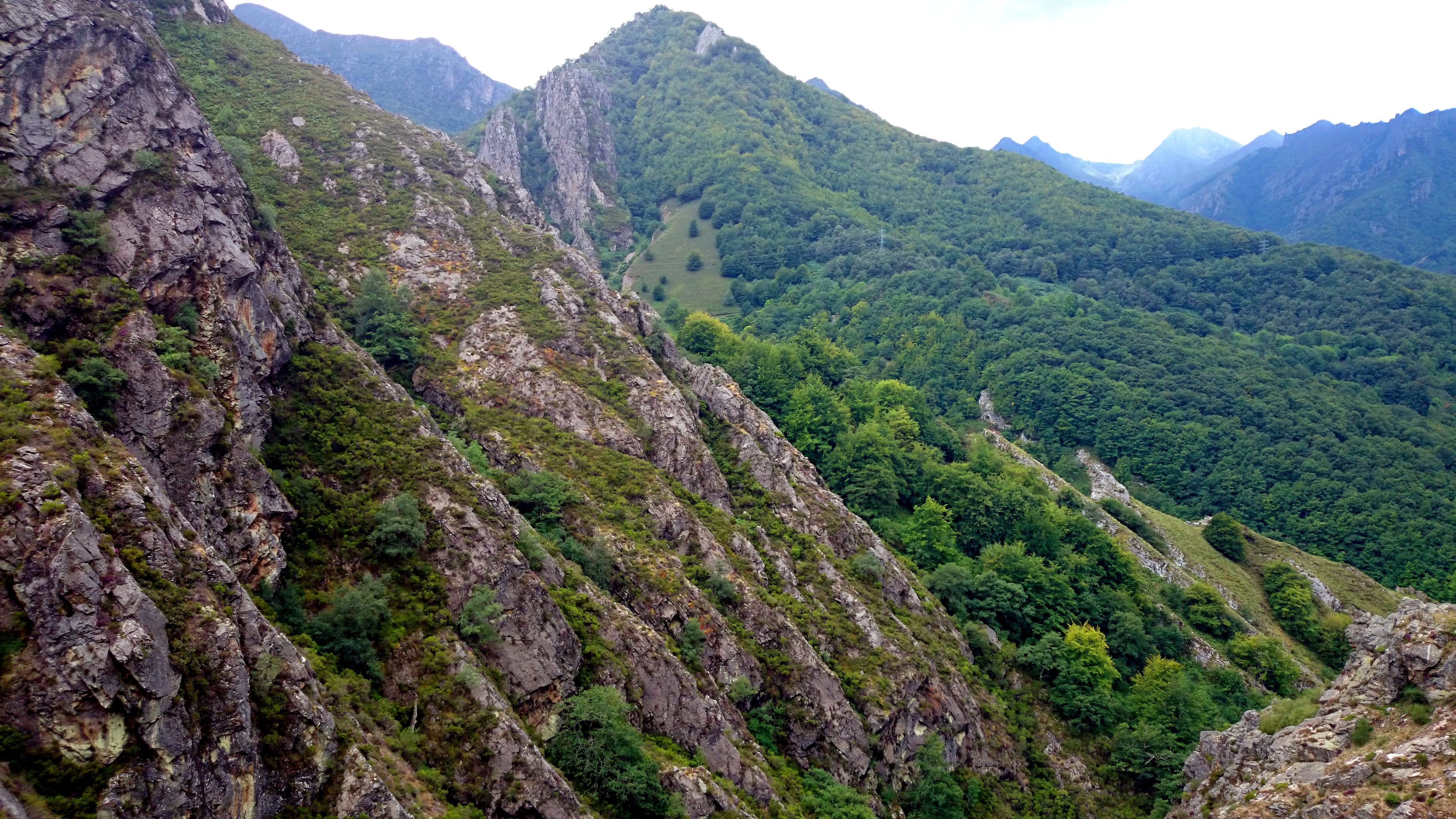 Foto de Parque del Ponga (Asturias), España