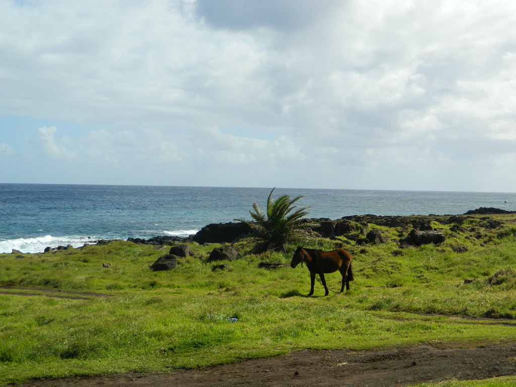 Foto: Isla De Pascua - Hanga Roa (Valparaíso), Chile