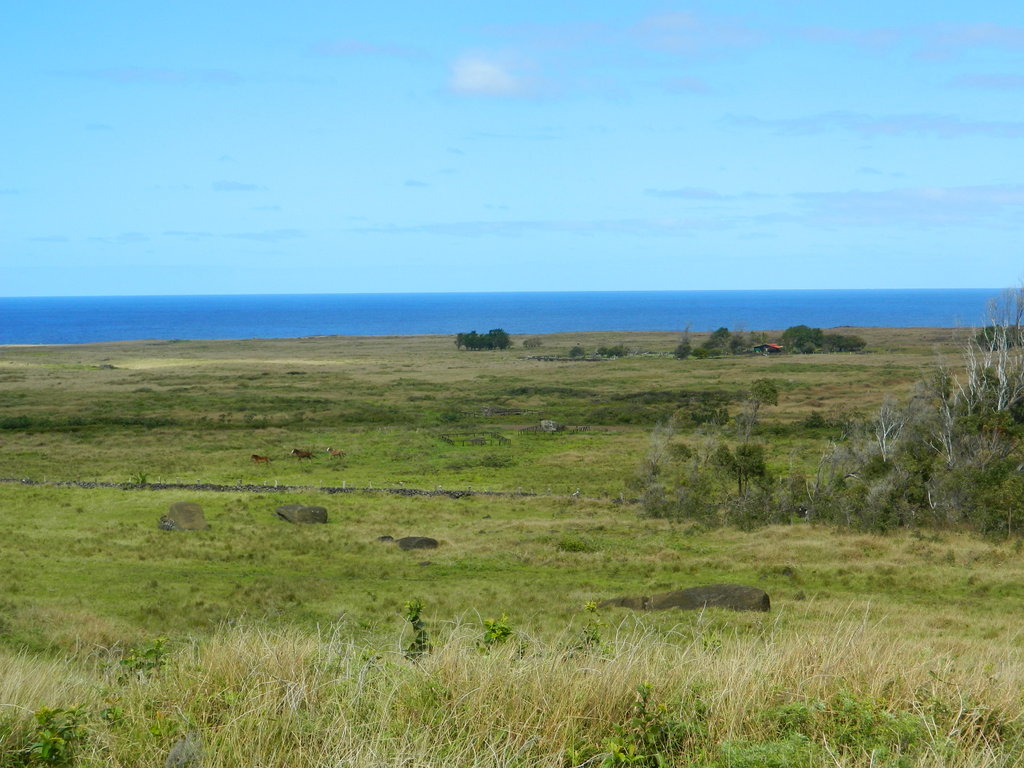 Foto: Isla De Pascua, Tongariki - Hanga Roa (Valparaíso), Chile