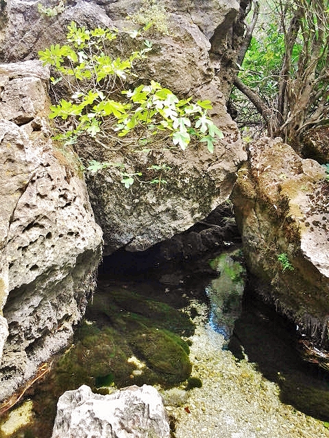 Foto: Manantial Su Gologone - Oliena (Sardinia), Italia