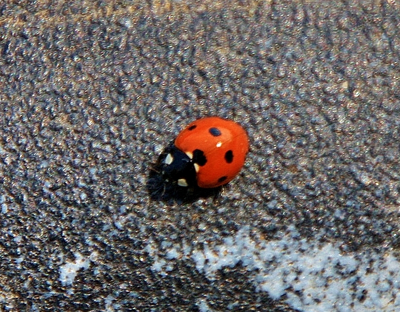 Foto: Manantial Su Gologone (bichito) - Oliena (Sardinia), Italia