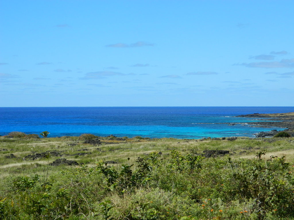 Foto: Isla De Pascua - Hanga Roa (Valparaíso), Chile