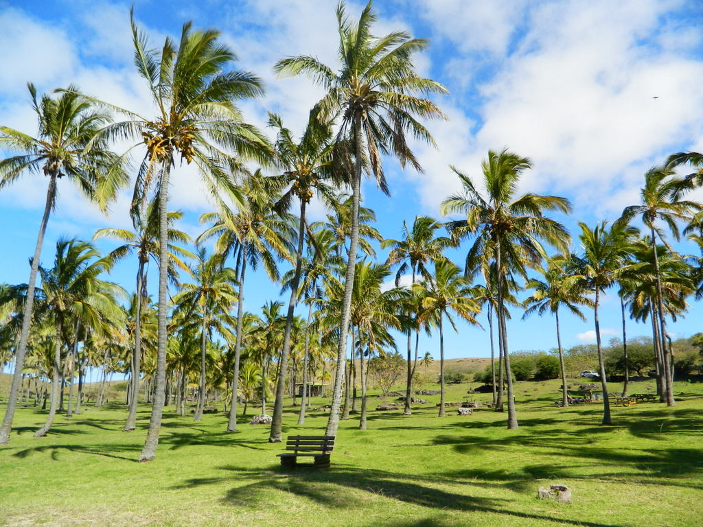 Foto: Isla De Pascua - Hanga Roa (Valparaíso), Chile