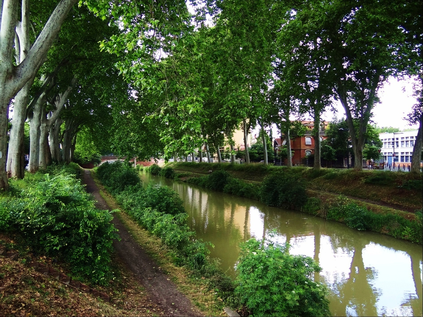 Foto: Canal de Brienne - Toulouse (Midi-Pyrénées), Francia