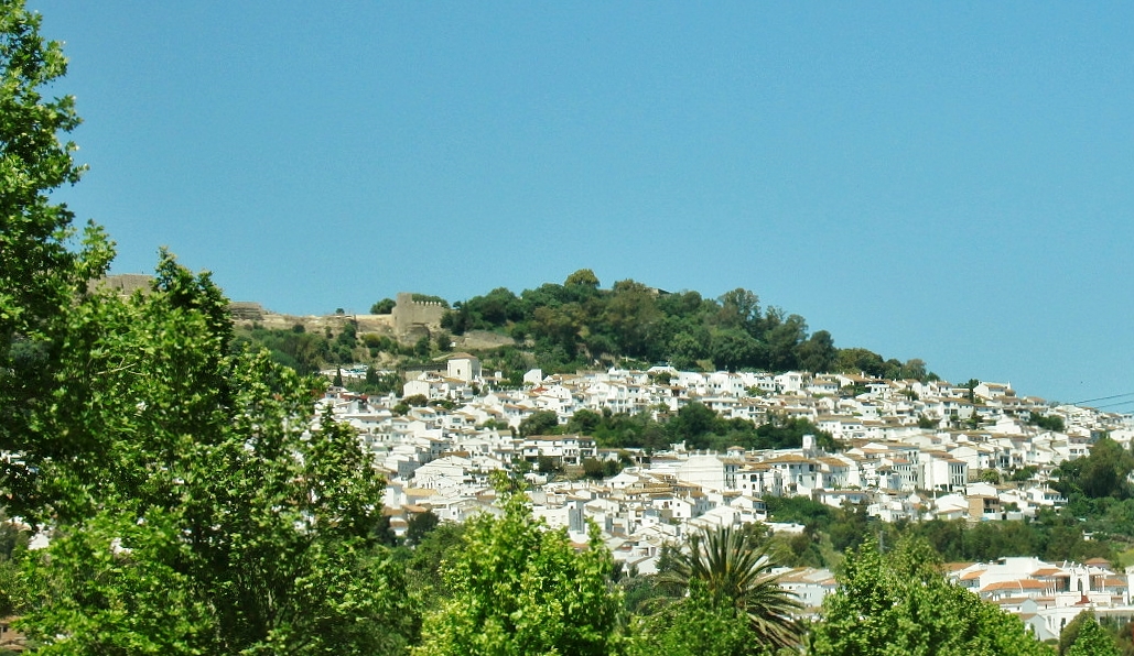 Foto: Paisaje - Jimena de la Frontera (Cádiz), España