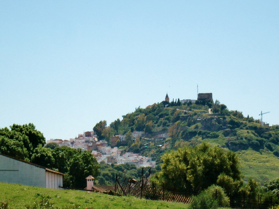 Foto: Paisaje - Alcalá de los Gazules (Cádiz), España