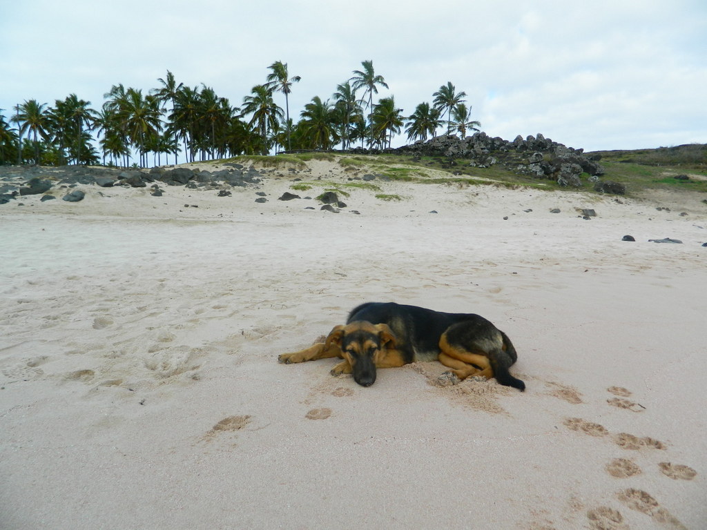 Foto: Isla De Pascua - Hanga Roa (Valparaíso), Chile