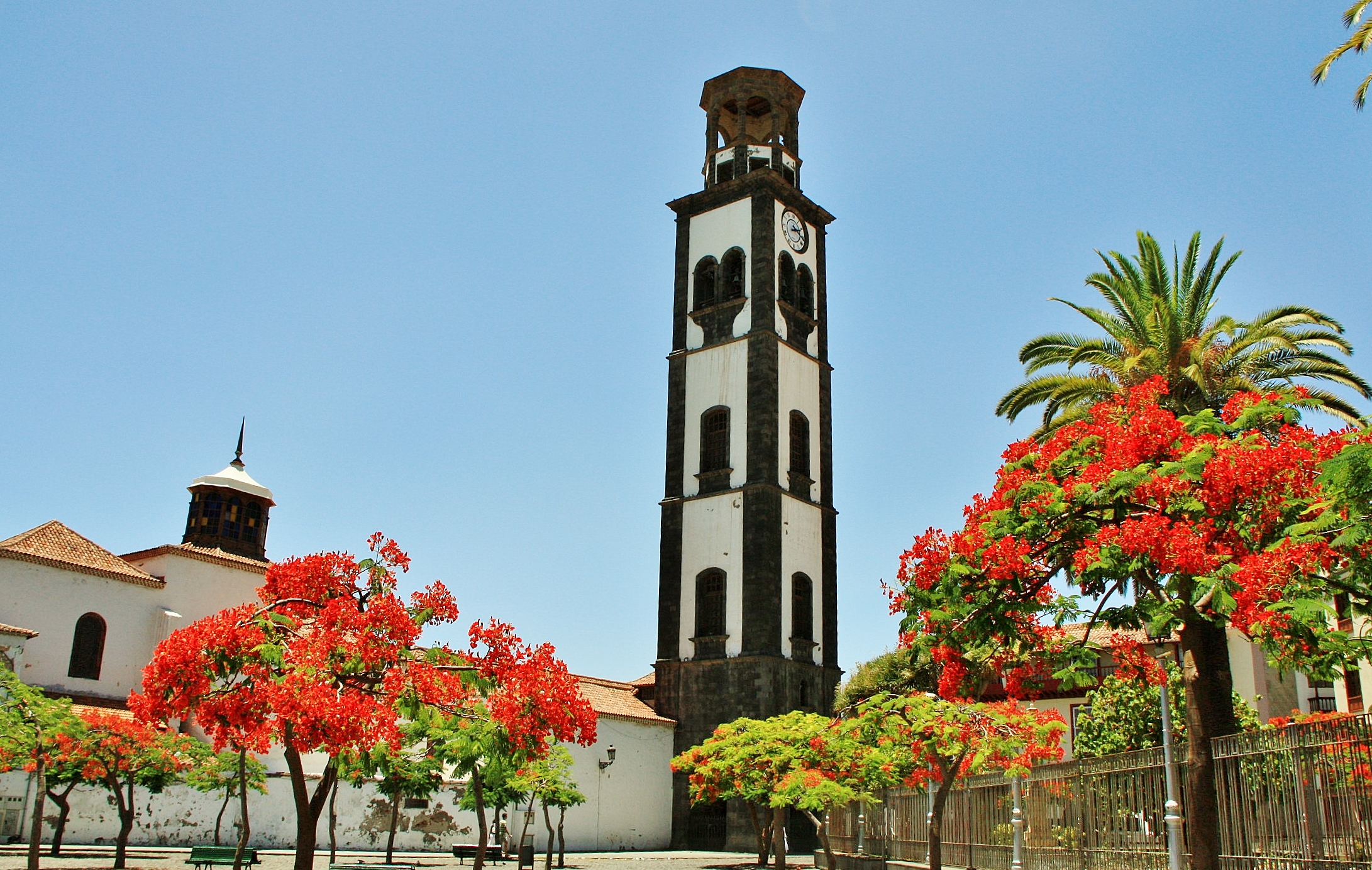 Foto: Centro histórico - Santa Cruz de Tenerife (Canarias), España