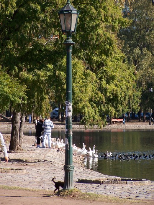 Foto: Parque Tres de Febrero - Ciudad de Buenos Aires (Buenos Aires), Argentina