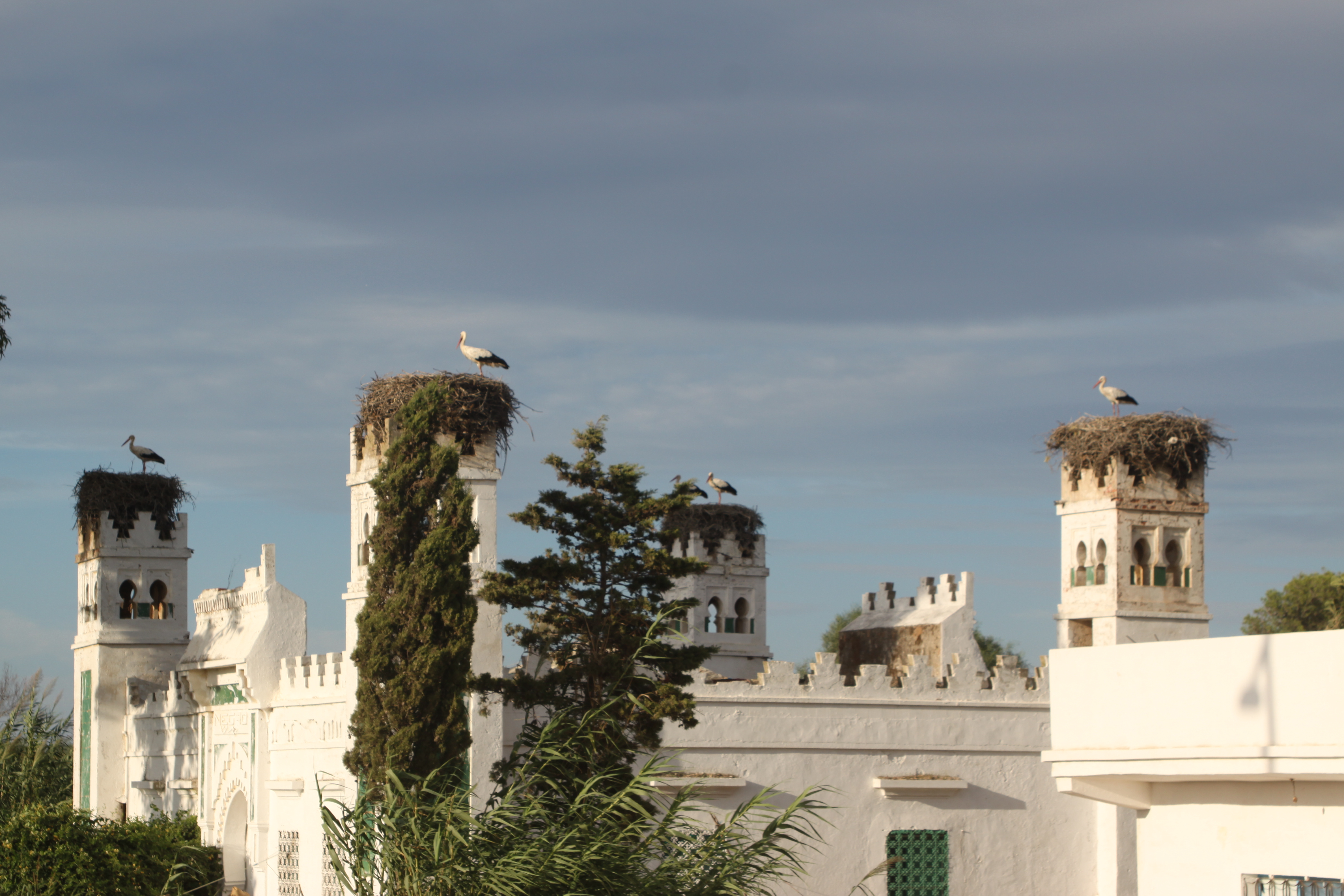 Foto de Fnideq (Tanger-Tétouan), Marruecos