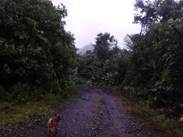 Foto: Hundimiento - Simòn Bolìvar (Peaz) (Pastaza), Ecuador