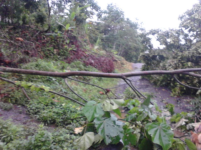 Foto: Hundimiento - Simòn Bolìvar (Peaz) (Pastaza), Ecuador