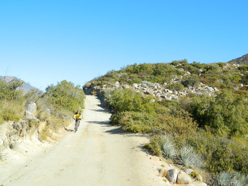 Foto: Olmue - Olmue (Valparaíso), Chile