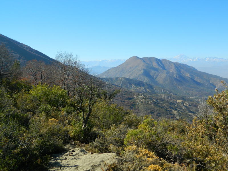 Foto: Olmue - Olmue (Valparaíso), Chile