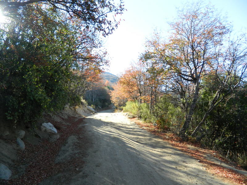 Foto: Olmue - Olmue (Valparaíso), Chile