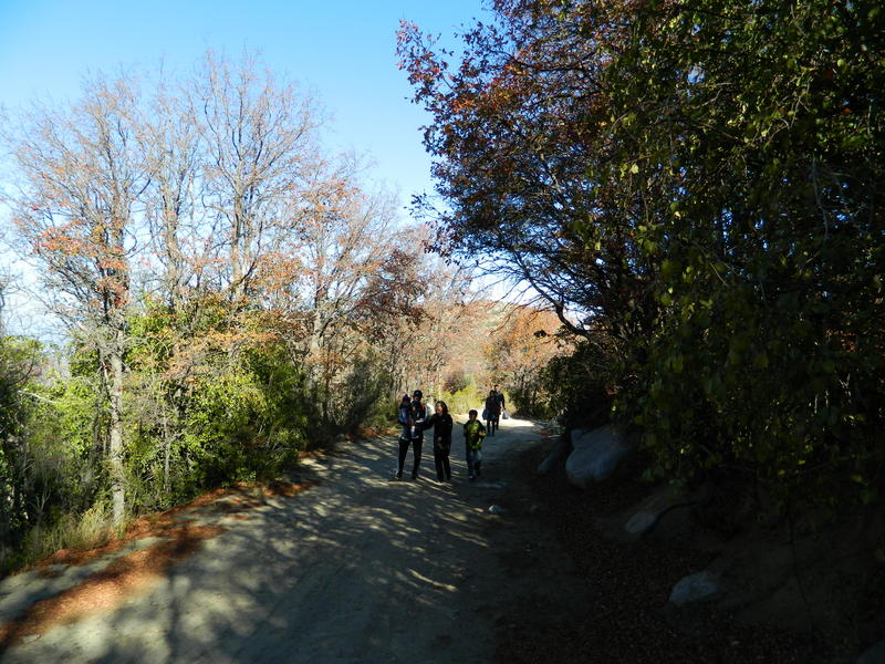 Foto: Olmue - Olmue (Valparaíso), Chile