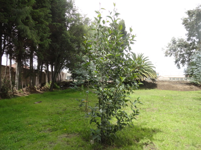 Foto: Intalaciones del MAGAB - Riobamba (Chimborazo), Ecuador