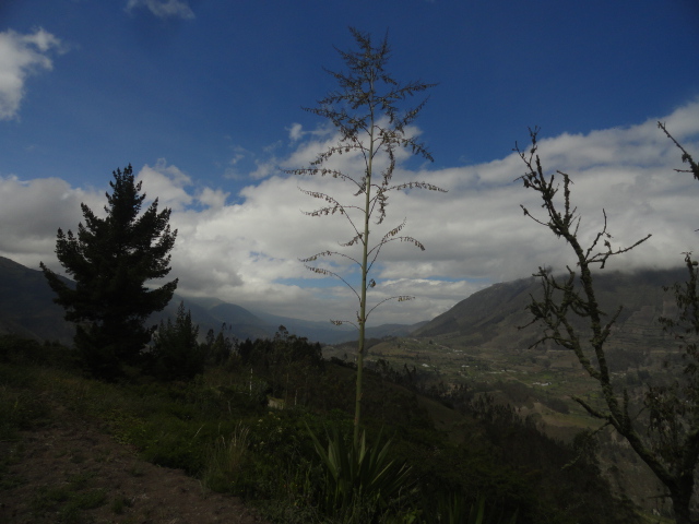 Foto: Paisaje - Bayushig (Chimborazo), Ecuador