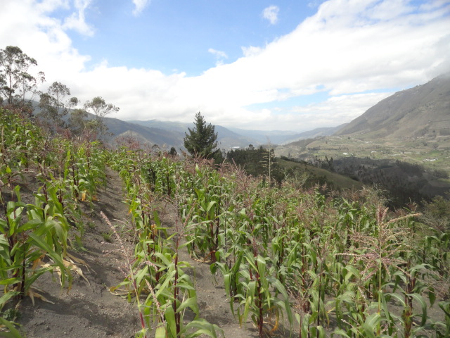 Foto: Paisaje - Bayushig (Chimborazo), Ecuador