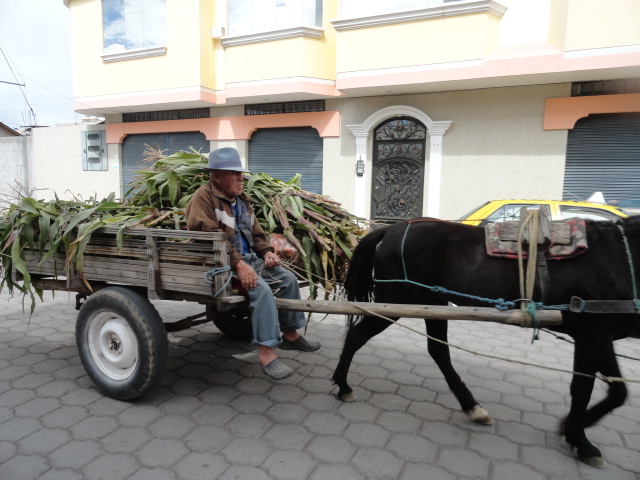 Foto: Carreta - Riobamba (Chimborazo), Ecuador