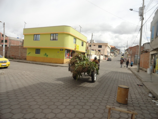 Foto: Carreta - Riobamba (Chimborazo), Ecuador