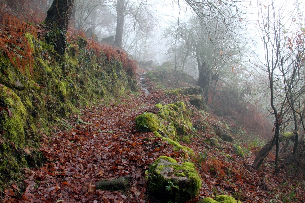 Foto de San Esteban De Ribas Do Sil (Ourense), España