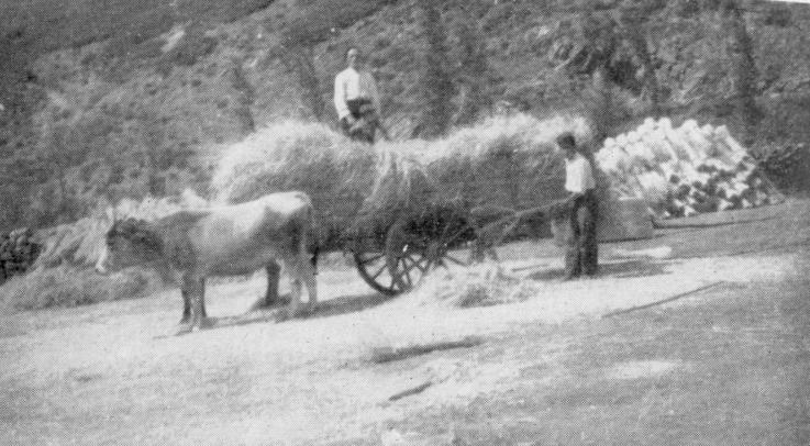Foto de Villafrea de la Reina (León), España