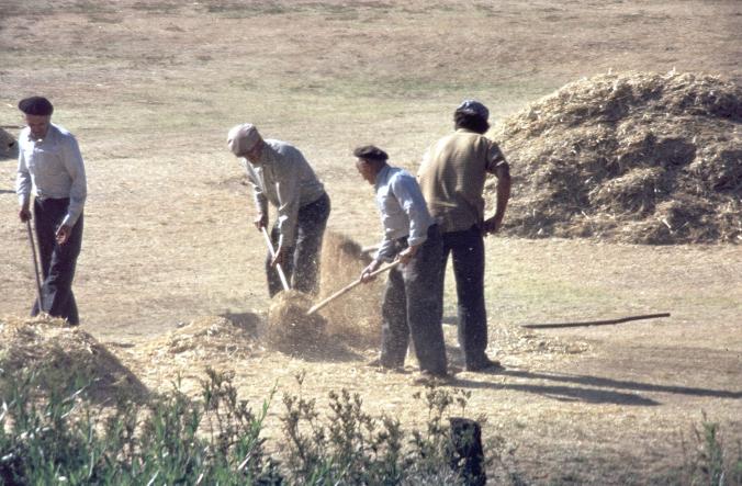 Foto: Majando en las Eras - Villafrea de la Reina (León), España