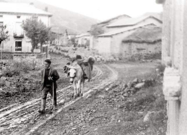 Foto: se van los Pastores... - Villafrea de la Reina (León), España