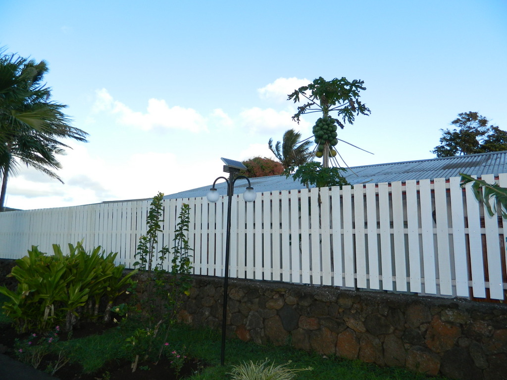 Foto: isla de pascua - Hanga Roa (Valparaíso), Chile
