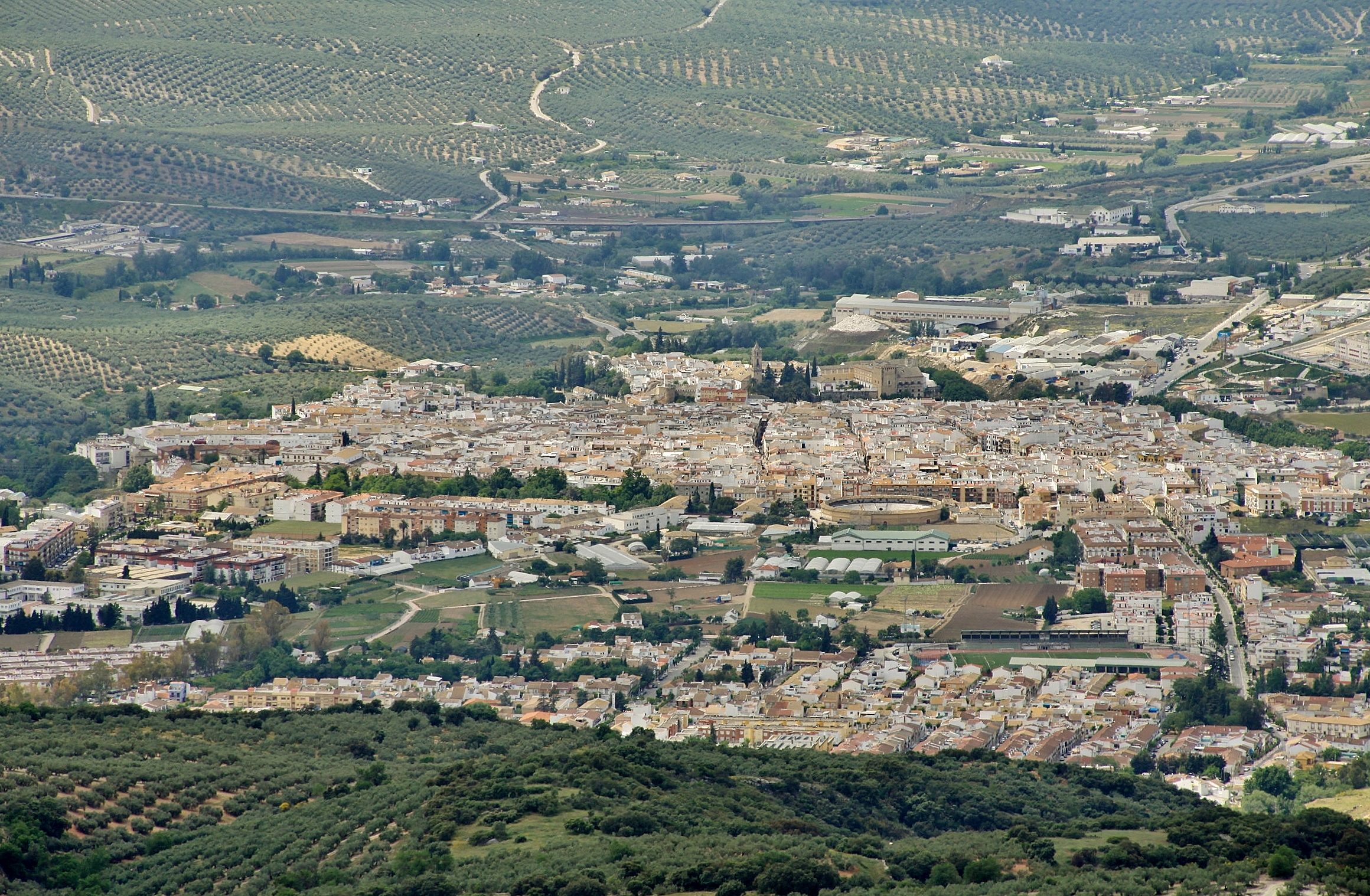 Foto: Vista del publo desde el Santuario de la Virgen - Cabra (Córdoba), España