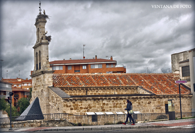 Foto de Zamora (Castilla y León), España
