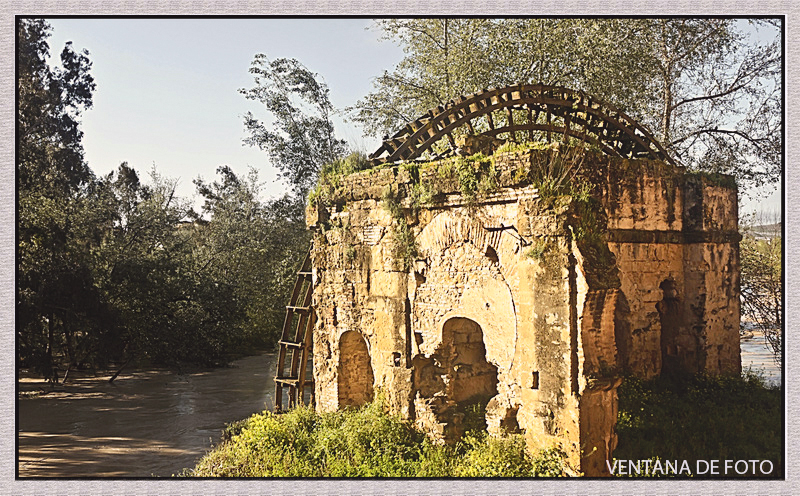 Foto: NORIA - Córdoba (Andalucía), España