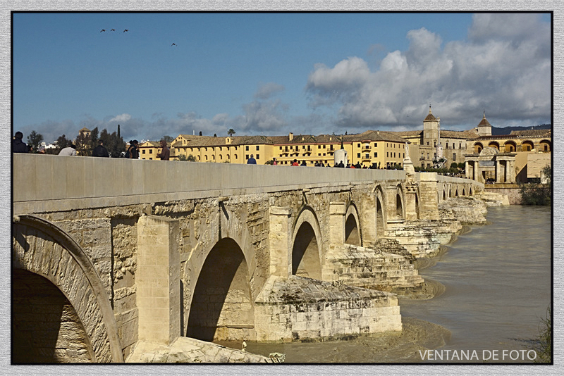 Foto: RÍO GUADALQUIVIR - Córdoba (Andalucía), España