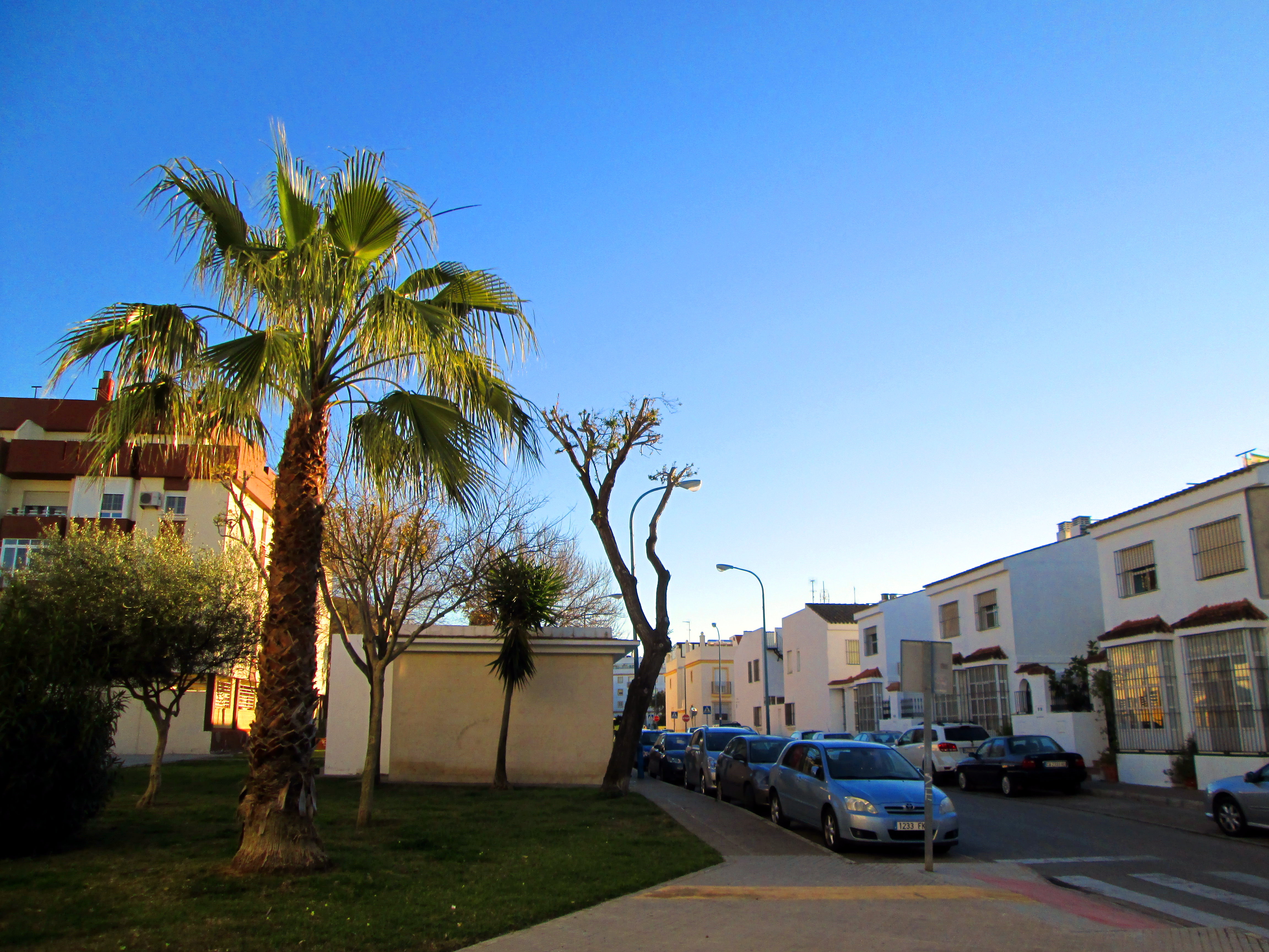 Foto: Calle Patio del Algibe - San Fernando (Cádiz), España