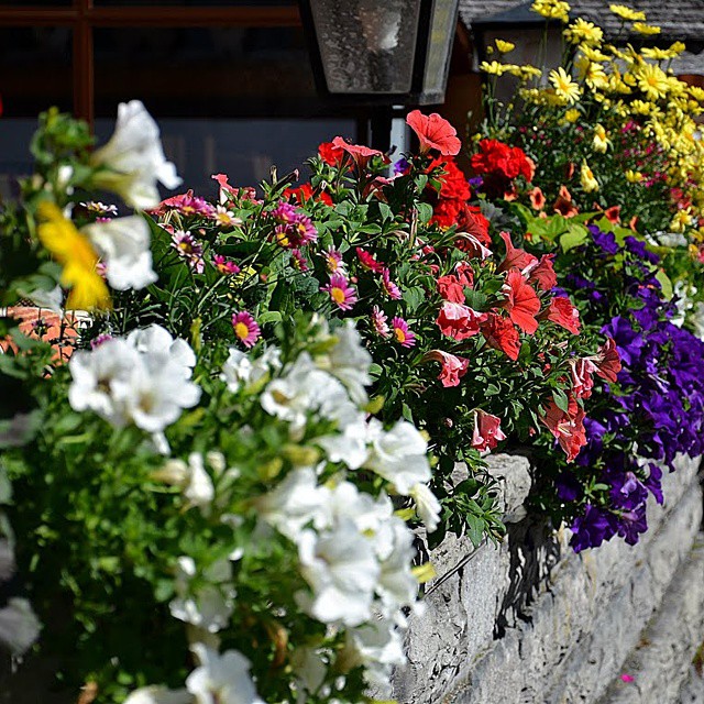 Foto de Lauterbrunnen, Suiza