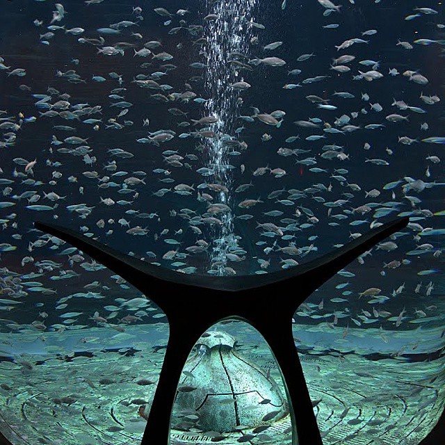 Foto: Hotel Atlantis Palm - Dubai, Emiratos Árabes Unidos