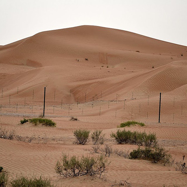 Foto: Desde Al Bada Hotel - Al Ain, Emiratos Árabes Unidos