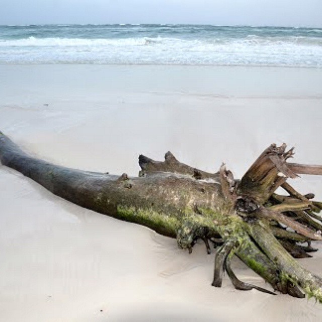 Foto de Tulúm, México