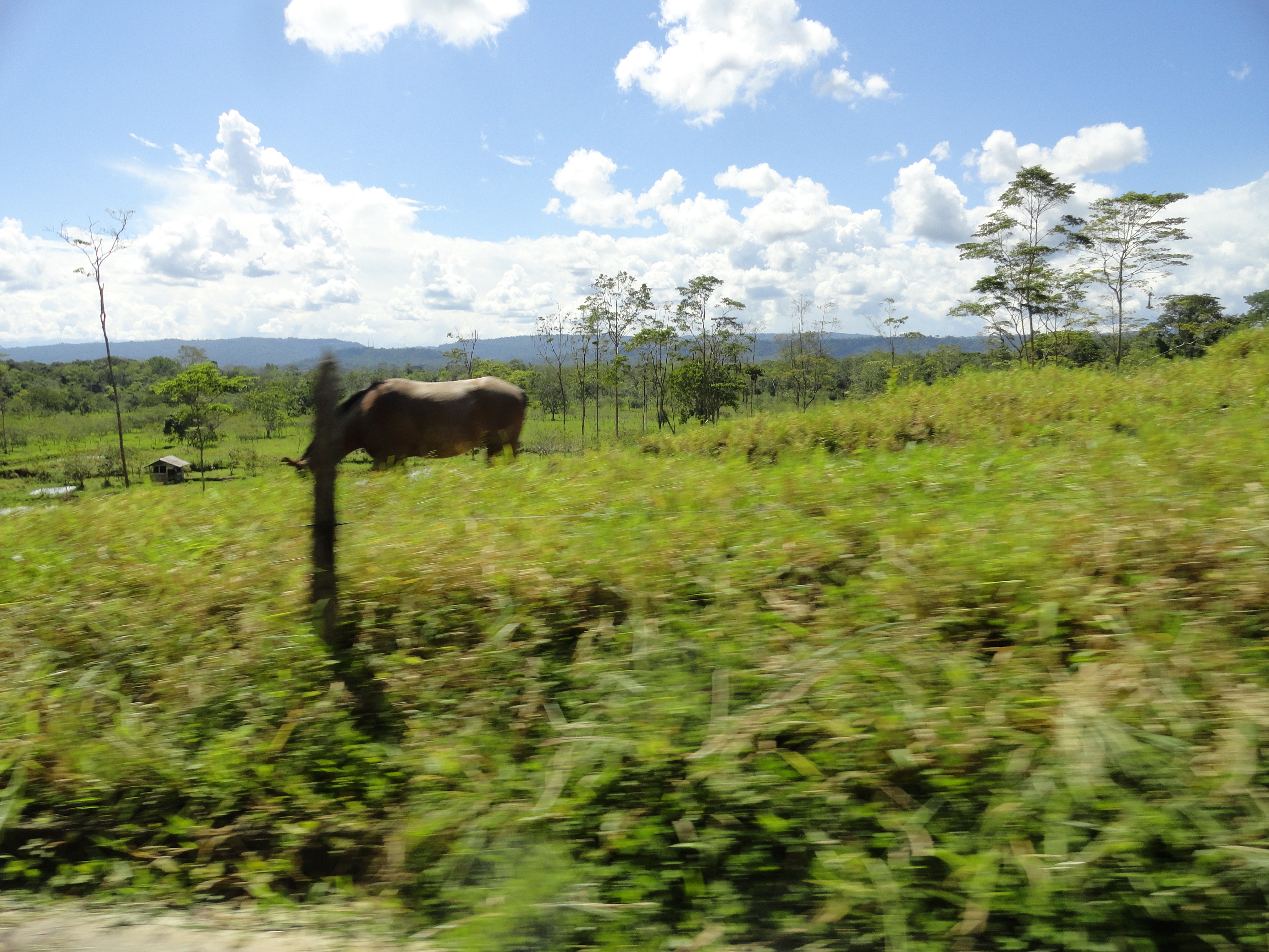 Foto: Paisaje - Ahuano (Napo), Ecuador