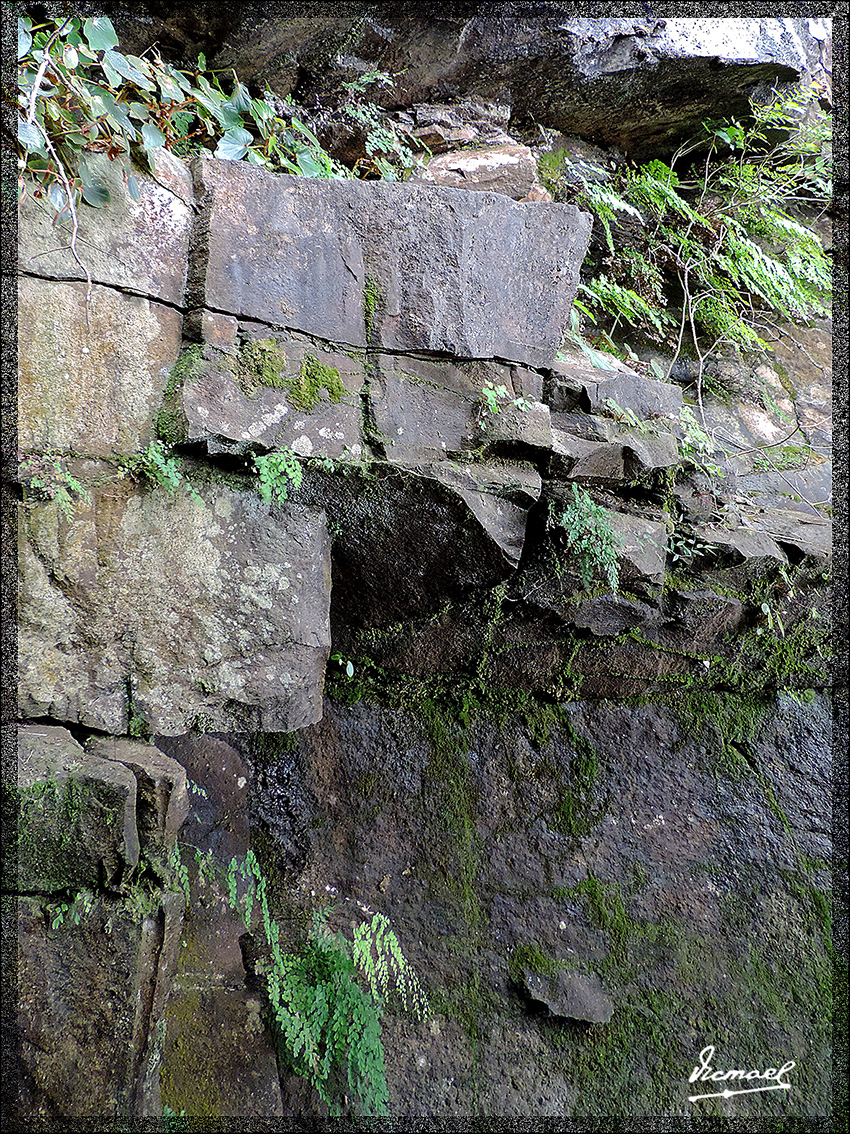 Foto: 150416-092 IGUAZú BRASIL - Iguazu (Paraná), Brasil