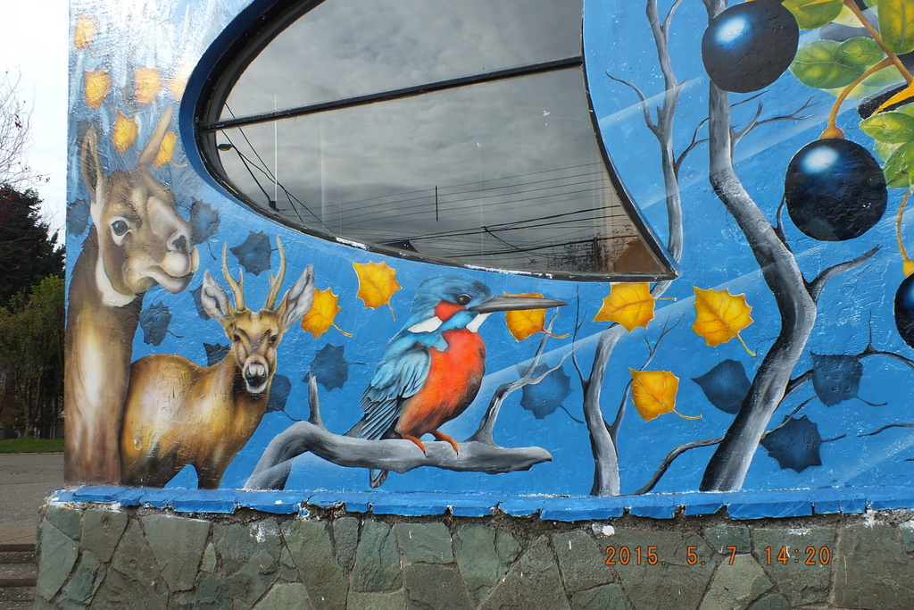 Foto: Coyhaique - Coyhaique (Aisén del General Carlos Ibáñez del Campo), Chile