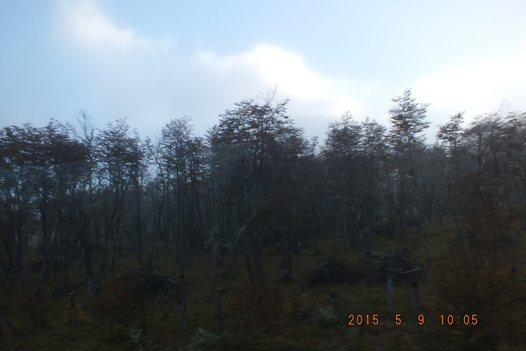 Foto: carretera austral - Coyhaique (Aisén del General Carlos Ibáñez del Campo), Chile