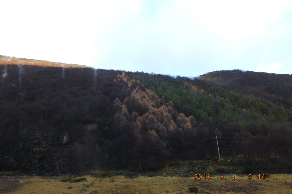 Foto: carretera austral - Coyhaique (Aisén del General Carlos Ibáñez del Campo), Chile