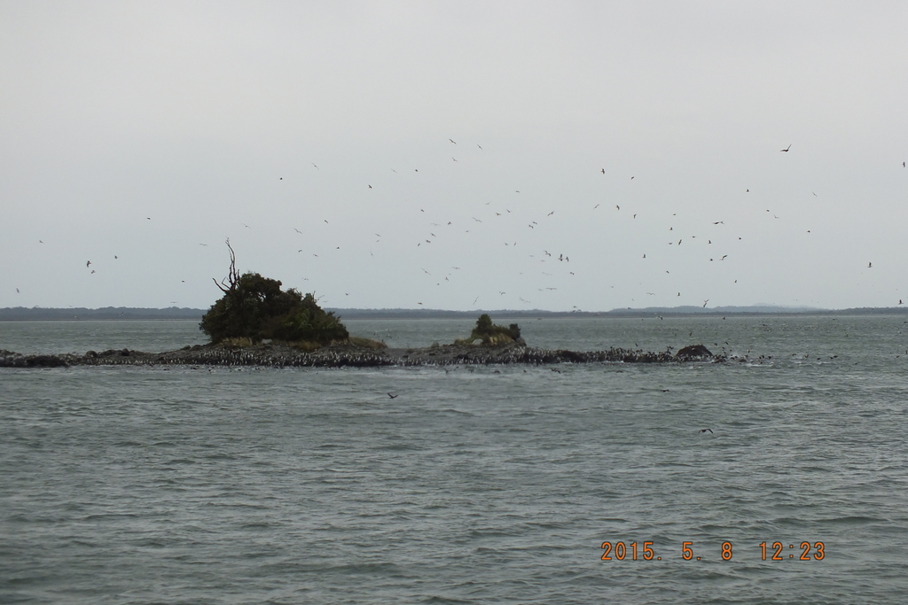 Foto: Canales Patagonicos - Aysen (Aisén del General Carlos Ibáñez del Campo), Chile